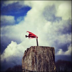 Close-up of red perching on flag against sky