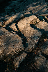 High angle view of rocks on shore