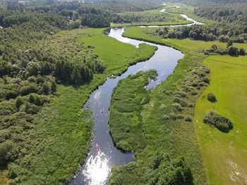 High angle view of river amidst trees