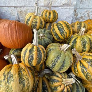 High angle view of pumpkins for sale at market