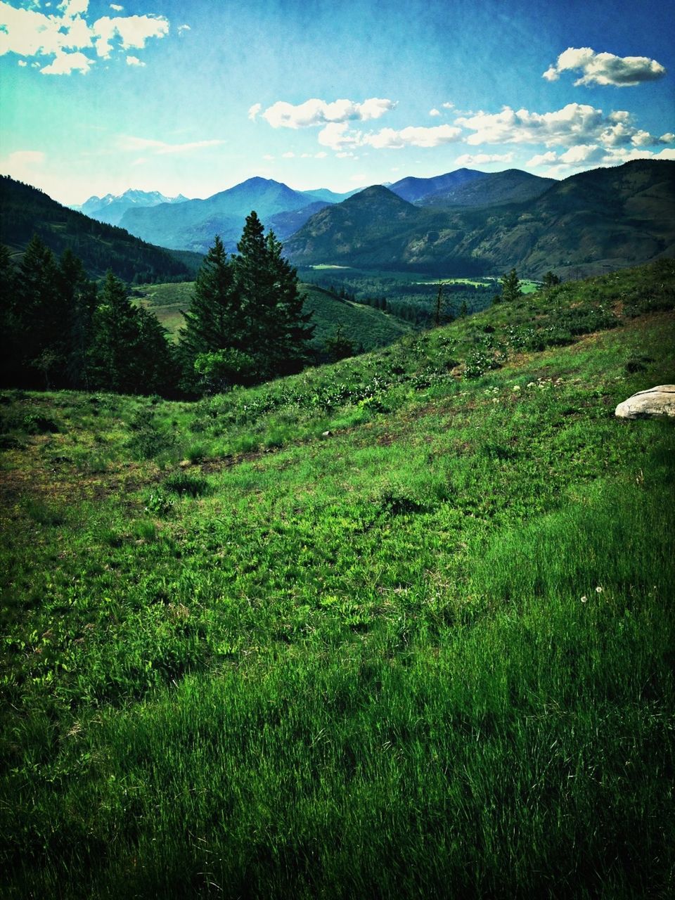 mountain, mountain range, tranquil scene, tranquility, landscape, scenics, grass, beauty in nature, sky, nature, non-urban scene, idyllic, field, green color, remote, grassy, countryside, hill, no people, outdoors