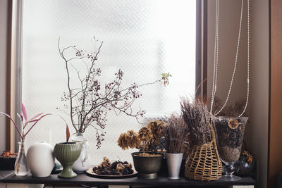 Potted plants on table at home