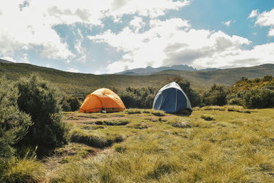 Camping in the scenic mountain landscapes of mount kenya, chogoria route, mount kenya national park