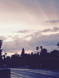 Cars on road at sunset