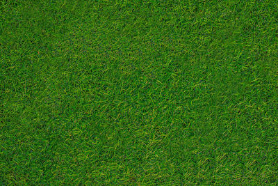 High angle view of soccer field