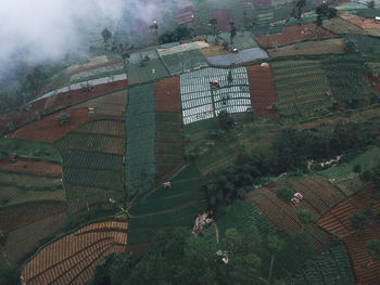 High angle view of trees and building