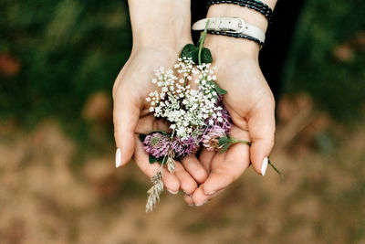 Wildflowers in female hands close up with bokeh