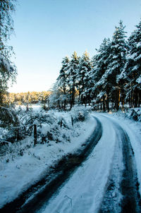Snow covered road by trees against sky
