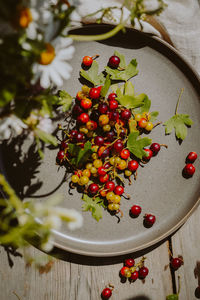 Fresh, ripe multi-colored wild berries with leaves on a platter in sunlight. lifestyle