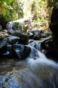 Scenic view of waterfall in forest