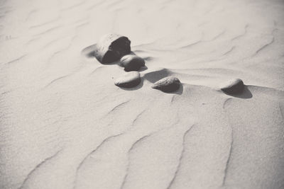 High angle view of pebbles on sandy beach