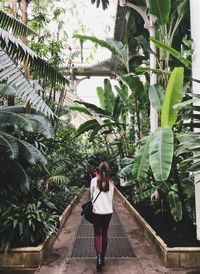 Rear view of woman standing by palm trees