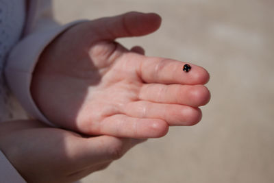 Close-up of human hand with ladybug during sunny day