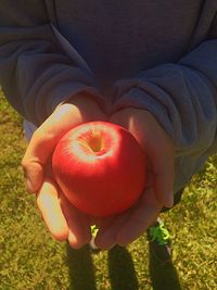 Midsection of woman holding apple