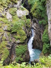 Scenic view of waterfall in forest