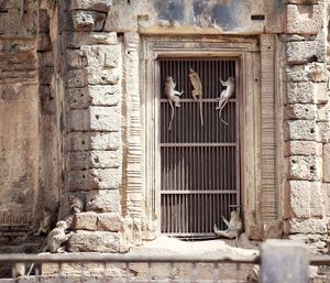 Closed window of old building