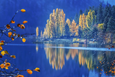 Reflection of trees in lake against sky