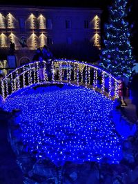 People in illuminated christmas tree at night