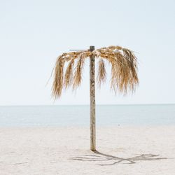 Thatched parasol on beach against clear sky