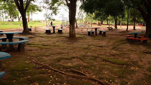 Empty bench in park