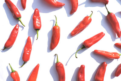 High angle view of chili peppers on white background