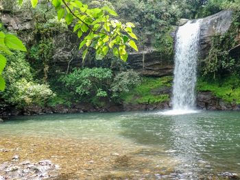 View of waterfall in forest