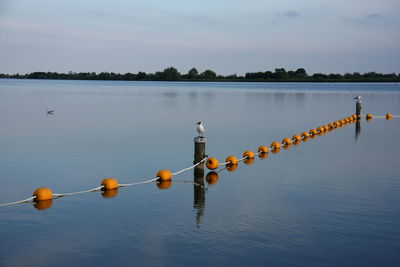 Scenic view of wooden post in lake against sky