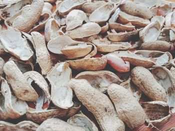 Full frame shot of shells on field