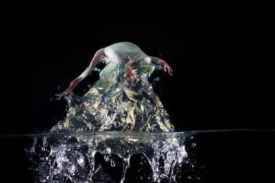 Reflection of man swimming in water