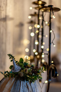 Close-up of christmas lights on plant