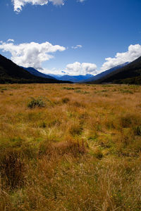 Scenic view of field against sky