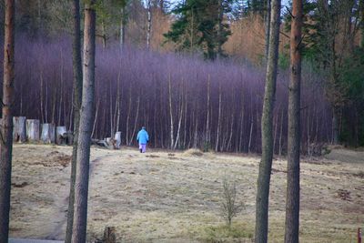 Man standing by trees on landscape against sky