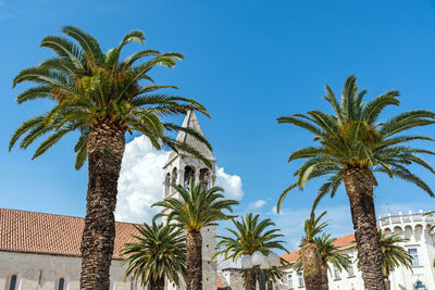 St. dominic monastery and church in trogir, croatia