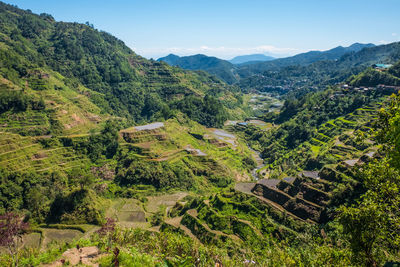 High angle view of trees on landscape against sky