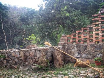 Bird perching on a building