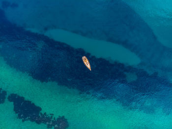 High angle view of fish swimming underwater