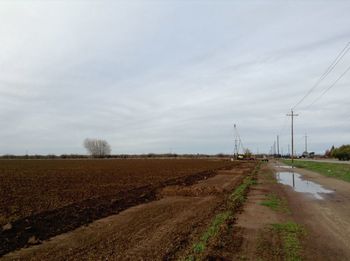 Road passing through field