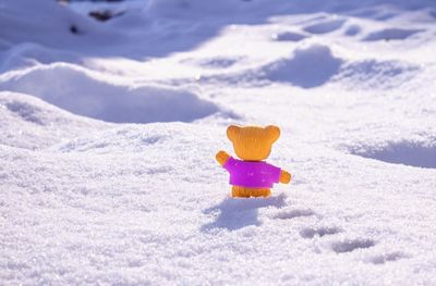 Close-up of toy on snow covered land