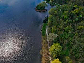 High angle view of lake amidst trees