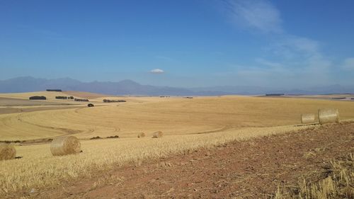 Hay bales on agricultural landscape against blue sky