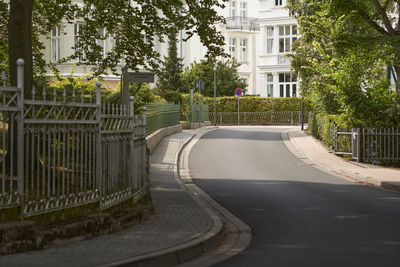 Road by trees in city