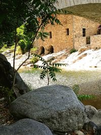 View of trees and rocks