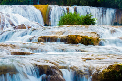 View of waterfall in forest