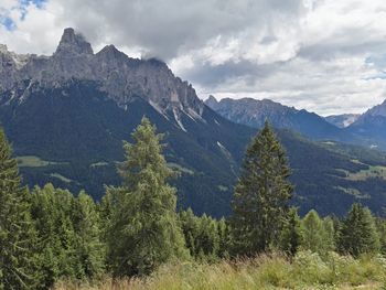 Scenic view of pine trees and mountains against sky