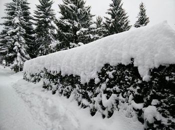 Scenic view of snow covered mountains and trees during winter