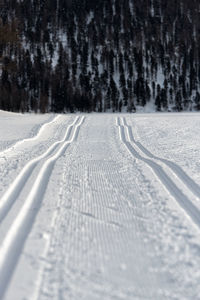 Double track nordic skiing