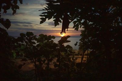 Scenic view of trees against sky at sunset
