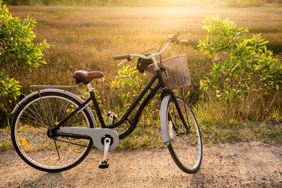 Bicycle in basket on field