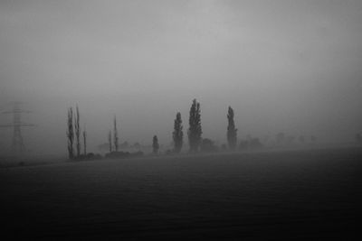 Trees on field against sky during foggy weather
