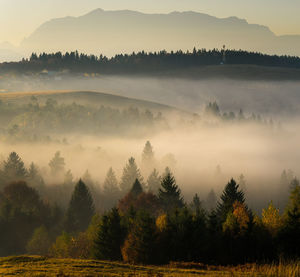 Scenic view of trees and mountains against sky